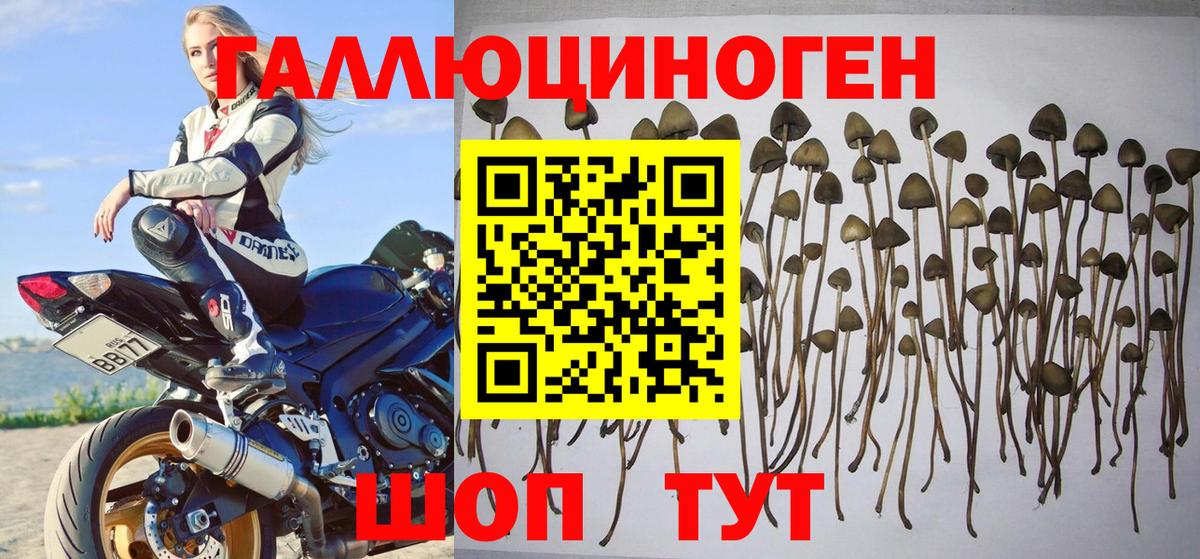 Галлюциногенные грибы прущие грибы  Вход с VPN  Чехов 