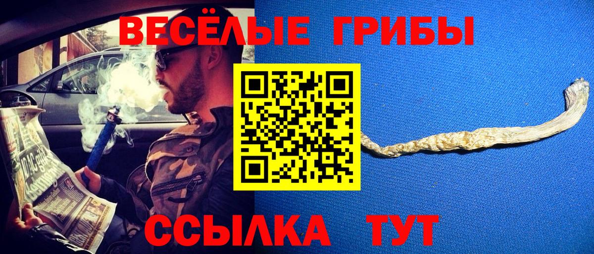 Галлюциногенные грибы мухоморы Чехов